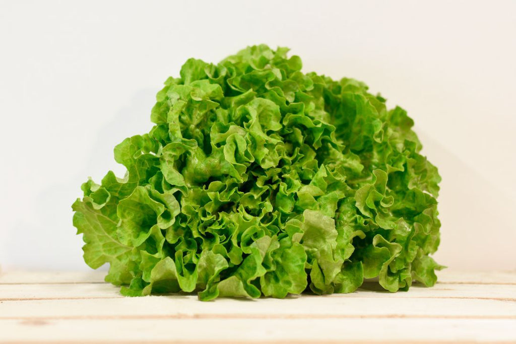 LATTUGA BIO